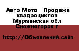 Авто Мото - Продажа квадроциклов. Мурманская обл.,Снежногорск г.